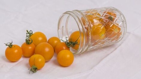Here is What Happens When You Save Hybrid Seeds Image